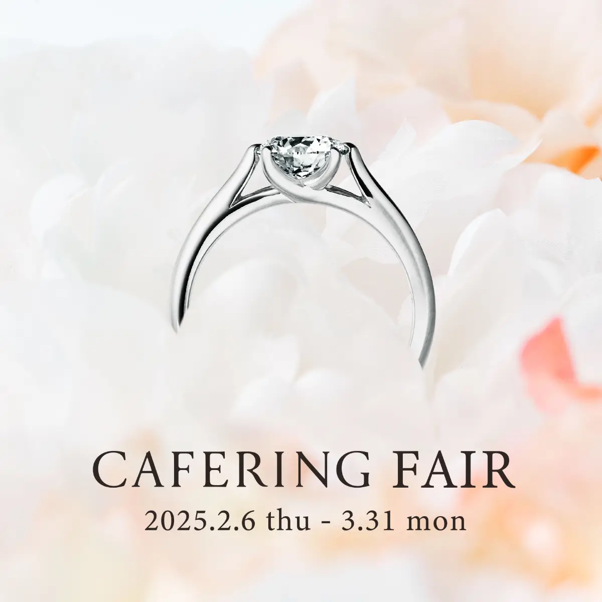 カフェリングフェア 2025年3月31日まで開催