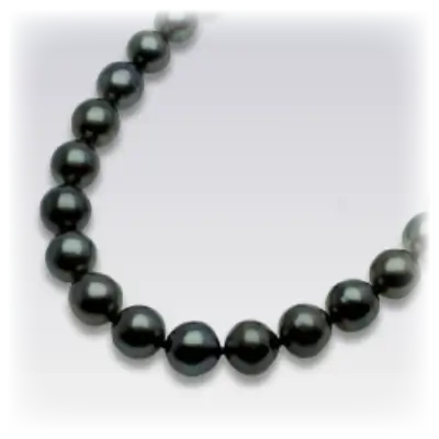 クロチョウネックレス