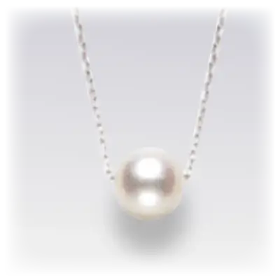 K10WGアコヤパール ペンダントネックレス